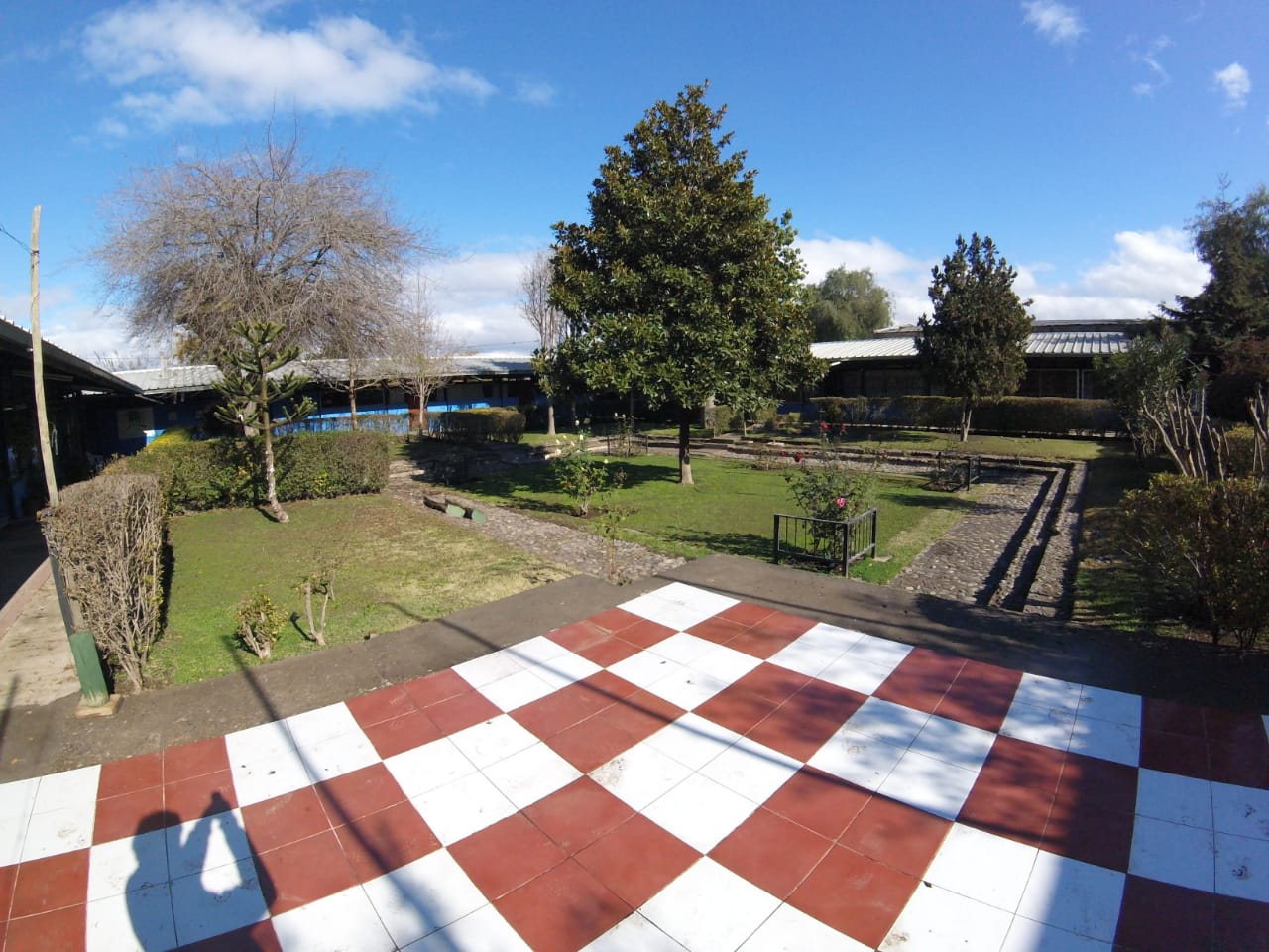 IMG-20190614-WA0010